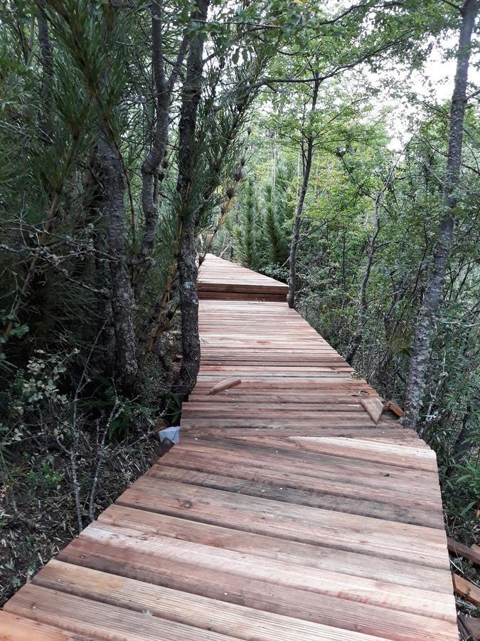Parque Amavida Villa Malalcahuello Eksteriør bilde