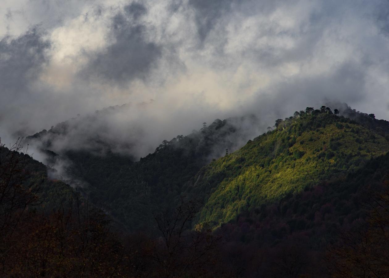 Parque Amavida Villa Malalcahuello Eksteriør bilde