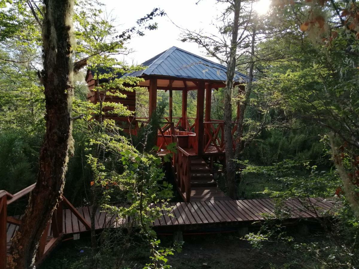Parque Amavida Villa Malalcahuello Eksteriør bilde