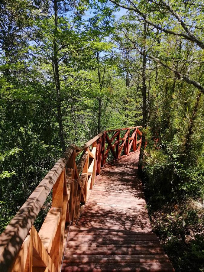 Parque Amavida Villa Malalcahuello Eksteriør bilde